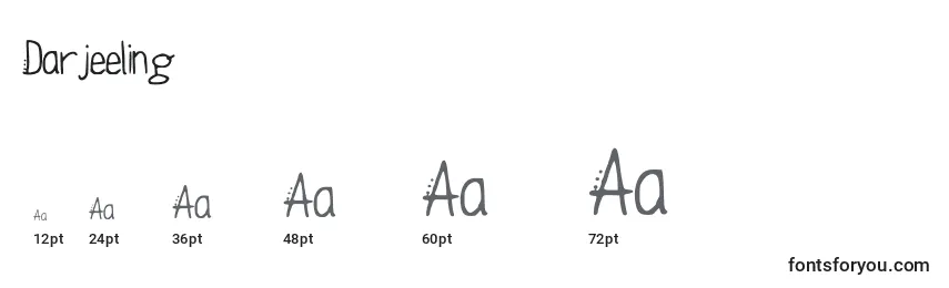 Darjeeling Font Sizes