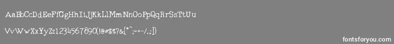 RmTyperighterOld Font – White Fonts on Gray Background