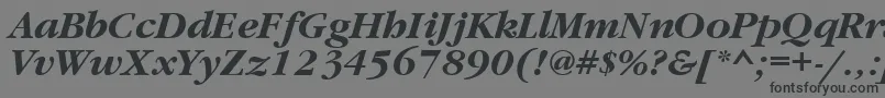 GaramondattBolditalic Font – Black Fonts on Gray Background