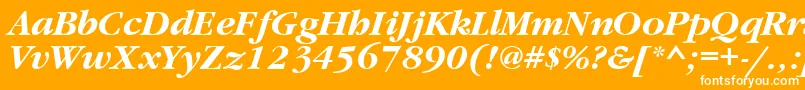 GaramondattBolditalic Font – White Fonts on Orange Background