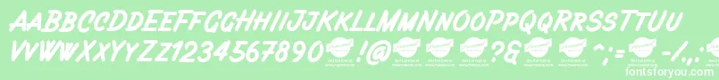 Filbertbrushcapsdemo Font – White Fonts on Green Background