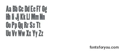 Coppercanyonnf Font