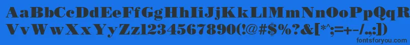 Bodidlybold Font – Black Fonts on Blue Background
