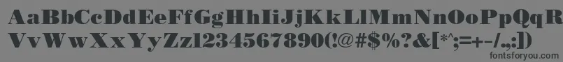 Bodidlybold Font – Black Fonts on Gray Background