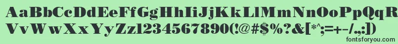 Bodidlybold Font – Black Fonts on Green Background