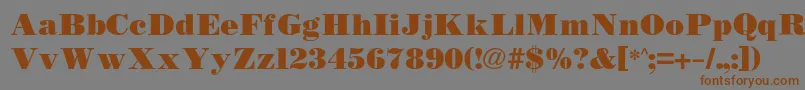 Bodidlybold Font – Brown Fonts on Gray Background