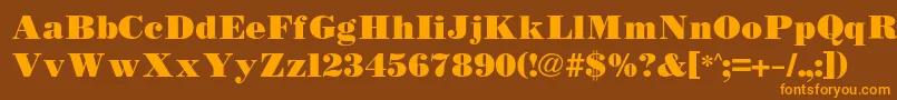 Bodidlybold Font – Orange Fonts on Brown Background