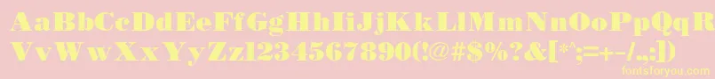 Bodidlybold Font – Yellow Fonts on Pink Background