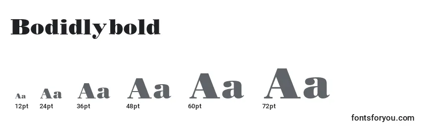 Bodidlybold Font Sizes