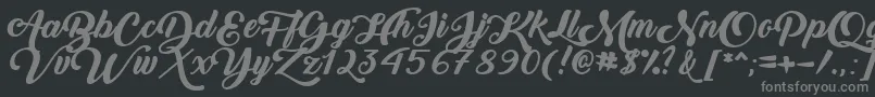 BackToBlackBoldDemo Font – Gray Fonts on Black Background