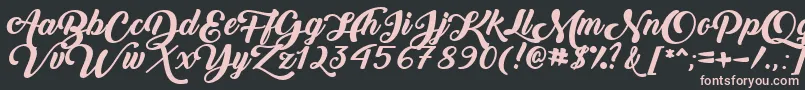 BackToBlackBoldDemo Font – Pink Fonts on Black Background