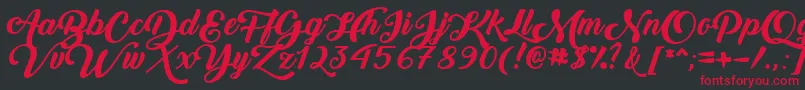 BackToBlackBoldDemo Font – Red Fonts on Black Background