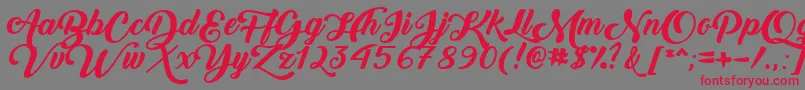BackToBlackBoldDemo Font – Red Fonts on Gray Background