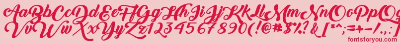 BackToBlackBoldDemo Font – Red Fonts on Pink Background