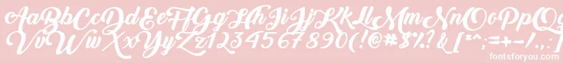 BackToBlackBoldDemo Font – White Fonts on Pink Background