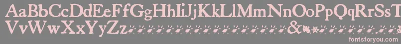 TuersCardboard Font – Pink Fonts on Gray Background