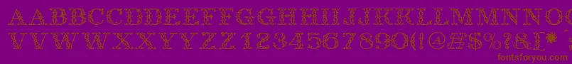 Шрифт Antique – коричневые шрифты на фиолетовом фоне