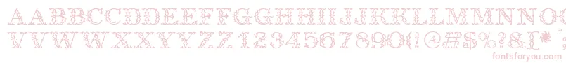 フォントAntique – 白い背景にピンクのフォント
