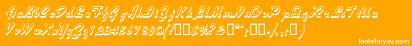 Visiooutlinessk Font – White Fonts on Orange Background