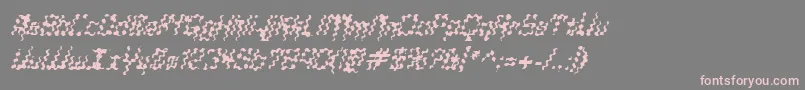 GlaukousPaukous Font – Pink Fonts on Gray Background