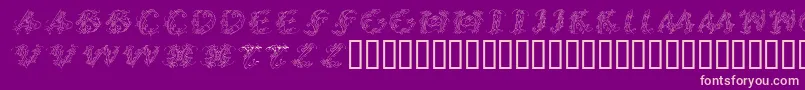 Callpgi Font – Pink Fonts on Purple Background