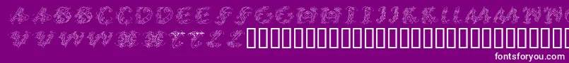 Fonte Callpgi – fontes brancas em um fundo violeta