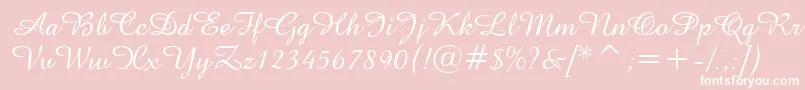 AmazoneBt Font – White Fonts on Pink Background