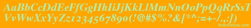 Times10BoldItalicOldstyleFigures-Schriftart – Grüne Schriften auf orangefarbenem Hintergrund