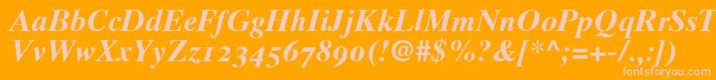 Times10BoldItalicOldstyleFigures Font – Pink Fonts on Orange Background