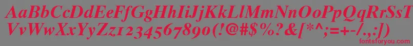 Times10BoldItalicOldstyleFigures Font – Red Fonts on Gray Background