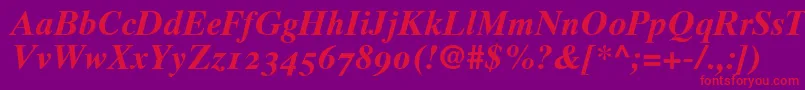 Times10BoldItalicOldstyleFigures Font – Red Fonts on Purple Background