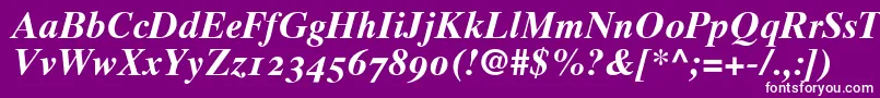 Times10BoldItalicOldstyleFigures Font – White Fonts on Purple Background