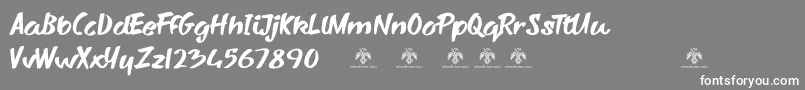 SharkyspotDemo Font – White Fonts on Gray Background
