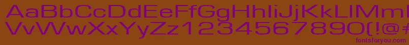 Europe160 Font – Purple Fonts on Brown Background