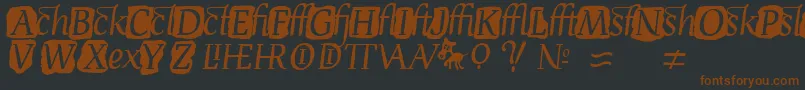 DevroyeExtra Font – Brown Fonts on Black Background