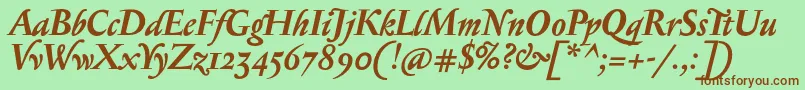 SerapioniiBolditalic Font – Brown Fonts on Green Background