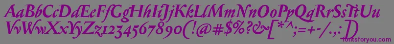 SerapioniiBolditalic Font – Purple Fonts on Gray Background