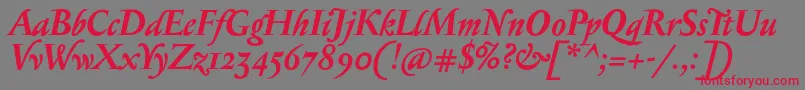 SerapioniiBolditalic Font – Red Fonts on Gray Background