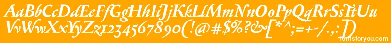 SerapioniiBolditalic Font – White Fonts on Orange Background