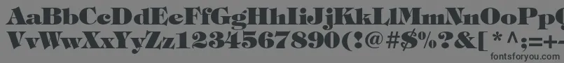 TiffanystdHeavy Font – Black Fonts on Gray Background
