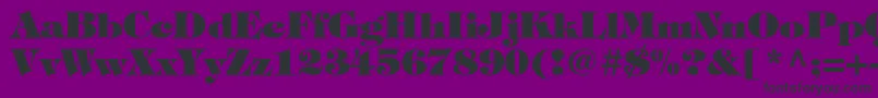 TiffanystdHeavy Font – Black Fonts on Purple Background