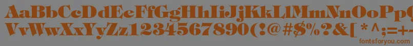 Шрифт TiffanystdHeavy – коричневые шрифты на сером фоне