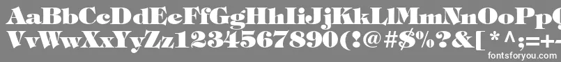 TiffanystdHeavy Font – White Fonts on Gray Background
