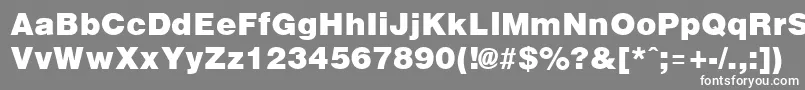 ArenaBlack Font – White Fonts on Gray Background