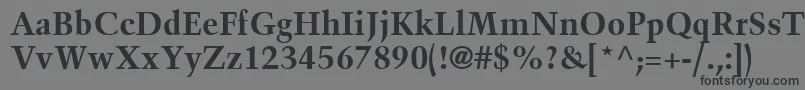 フォントBlackfordSsiBold – 黒い文字の灰色の背景