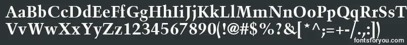 BlackfordSsiBold-fontti – valkoiset fontit mustalla taustalla