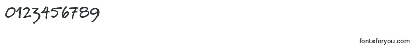 PfnotepadBold Font – Fonts for Numbers and Digits