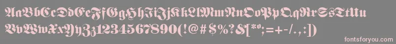 FanfaraRegular Font – Pink Fonts on Gray Background