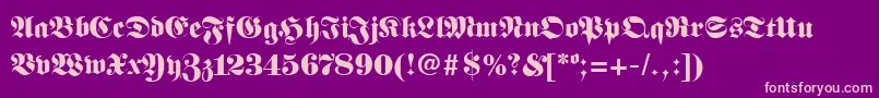 FanfaraRegular Font – Pink Fonts on Purple Background