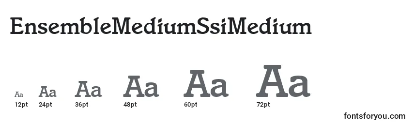 Размеры шрифта EnsembleMediumSsiMedium